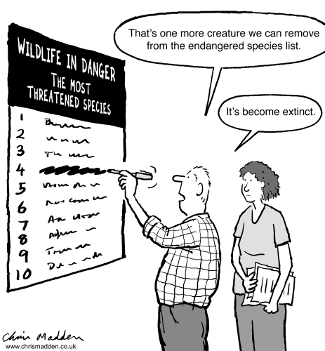 Cartoon by Chris Madden, www.chrismadden.co.uk