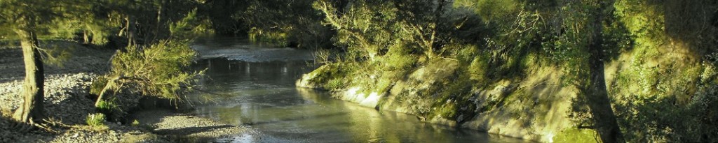 river image