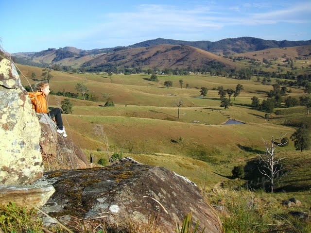 Tillegra photo